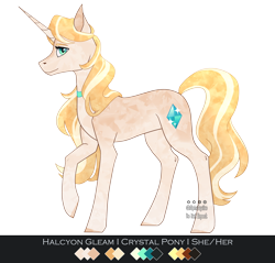 Size: 3308x3167 | Tagged: safe, artist:alphaaquilae, oc, oc only, oc:halcyon gleam, equine, fictional species, horse, mammal, pony, unicorn, feral, friendship is magic, hasbro, my little pony, 2024, digital art, female, hair, high res, horn, mane, mare, reference sheet, solo, solo female, tail