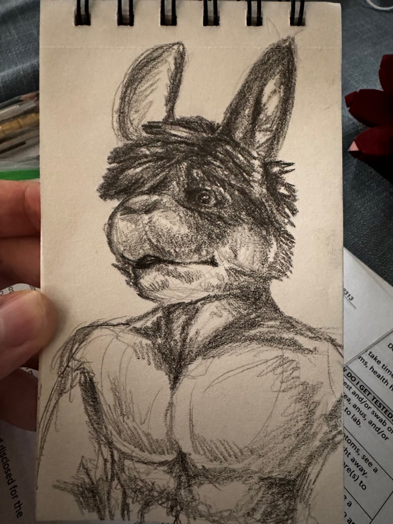 #443591 - safe, lagomorph, leporid, mammal, rabbit, anthro, abs ...