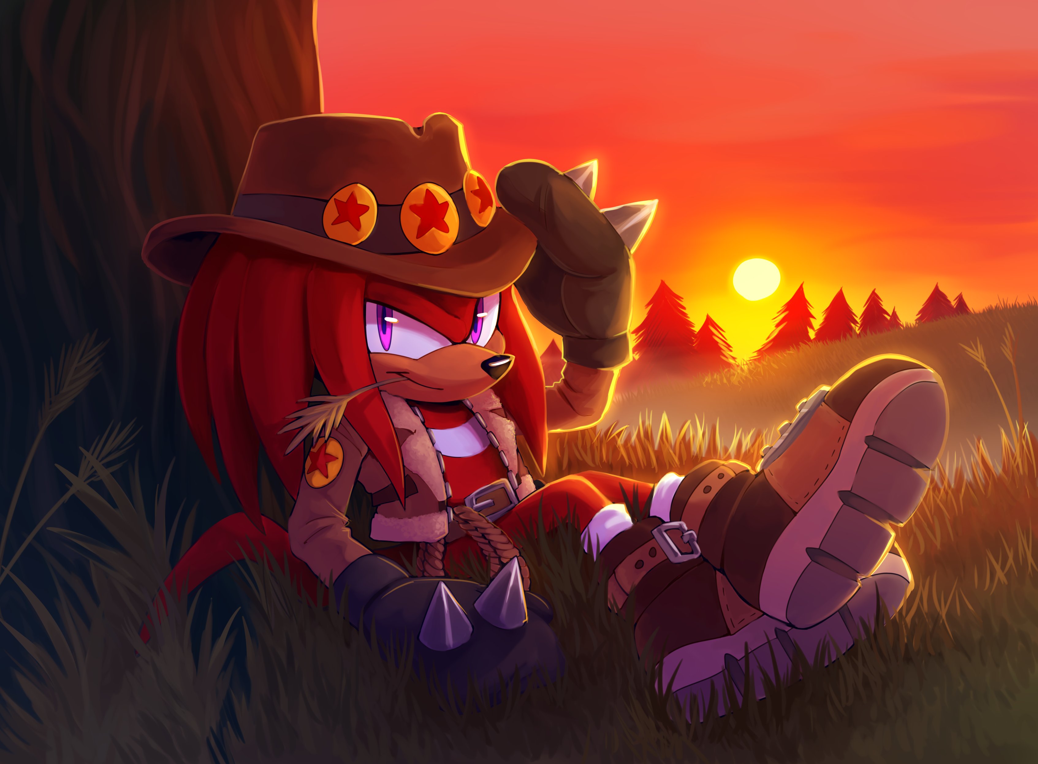 Knuckles the echidna cowboy hat
