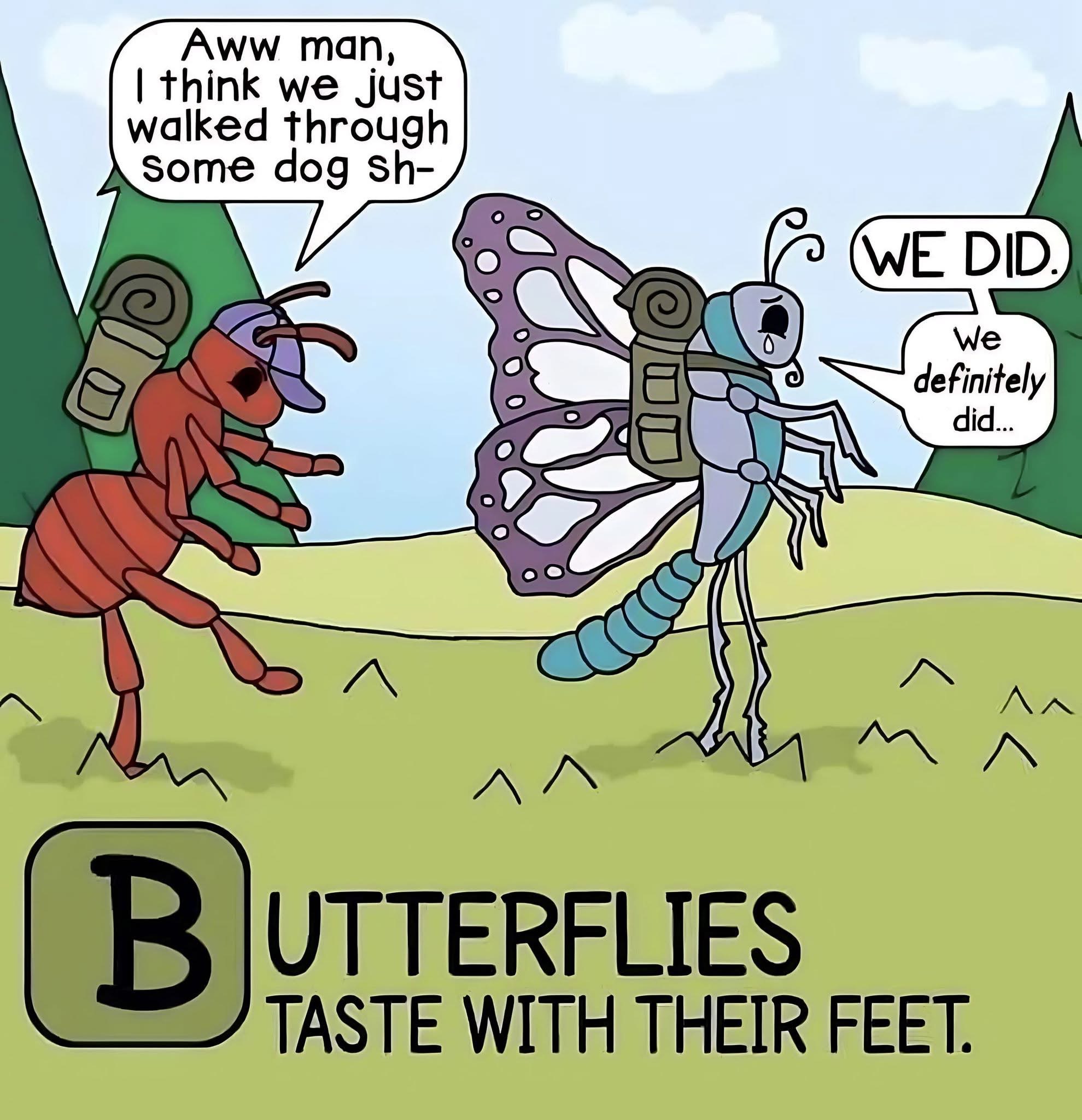 #459751 - safe, ant, arthropod, butterfly, insect, anthro, digitigrade ...