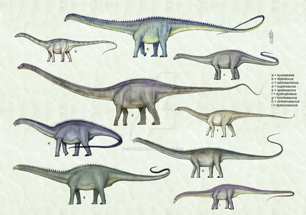 Deviant Brontosaurus #253338 - safe, artist:cisiopurple, apatosaurus, brontosaurus, dinosaur ...