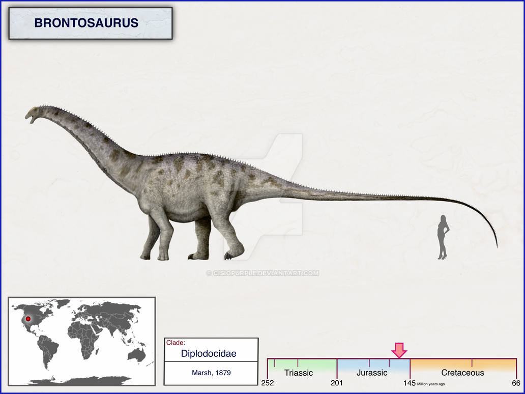 Deviant Brontosaurus #253670 - safe, artist:cisiopurple, brontosaurus, dinosaur, human ...